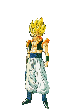 9-001gotenks.gif (4906 bytes)