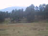 IMG_2491.JPG (533788 bytes)