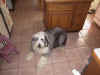Little Riley