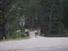 IMG_2214.JPG (654629 bytes)