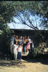 under the mansanitas tree