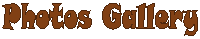 About This Blog And I