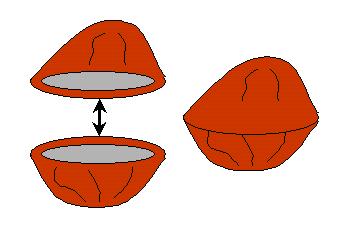 Stick 2 pinch pots together