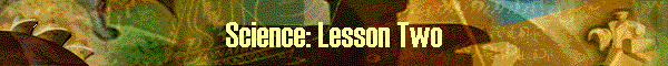 Science: Lesson Two