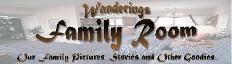 Wanderings - Family Room Banner