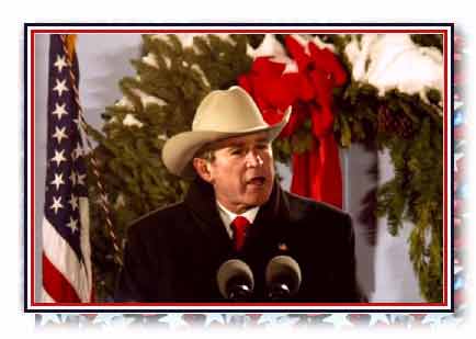 pic17 Predident George H W Bush speaking
