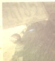 The Broken Hitch