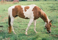 Cherokee, 26 August 2005