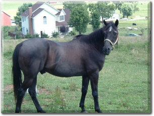 Amos on 26 June 2004
