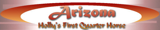 Arizona Title