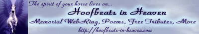 A wonderful horse-loss support group.&nbsp; Click to visit.