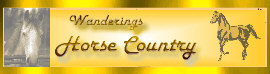 WHC mini-banner