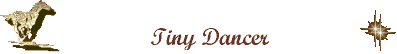 Tiny Dancer