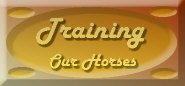 Return to training page