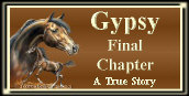 Gypsy's Final Chapter