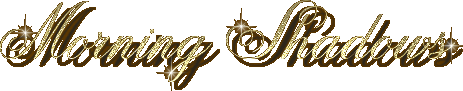 Moon & Back Graphics Design