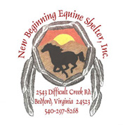 NBES logo
