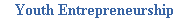 Youth Entrepreneurship