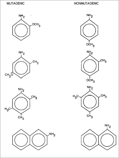 Mutagenic and Nonmutagenic dye intermediates