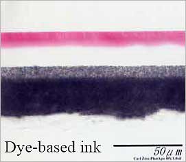 Pigment Precursor