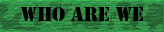 Information about the band.