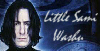 Little Sasmi Washu