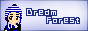 Dream Forest Adoptions