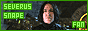 Shaded Paradox, The Severus Snape Fanlisting