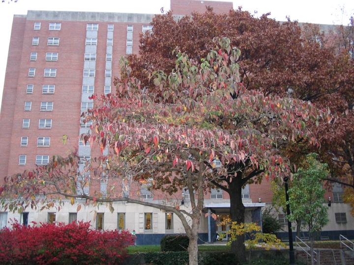 Drackett Tower, my dorm.