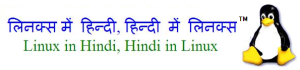Linux in Hindi, Hindi in Linux