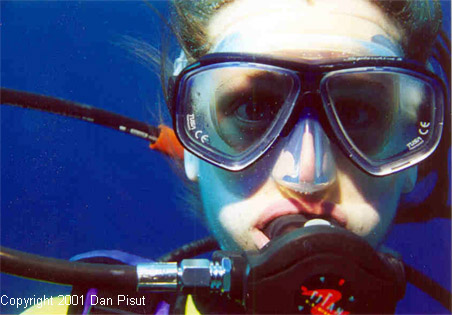 Fellow GT marine biologist; Bahamas