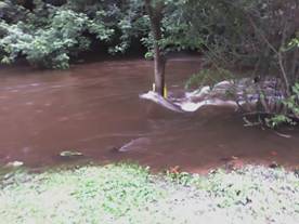 Picture of the Conocheague. at rear of drive way