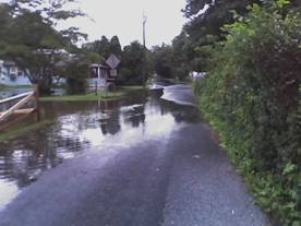 Picture towards 800 Mickey Inn Lane from the road side of the driveway