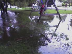 Picture of the yard near the swing set view 2