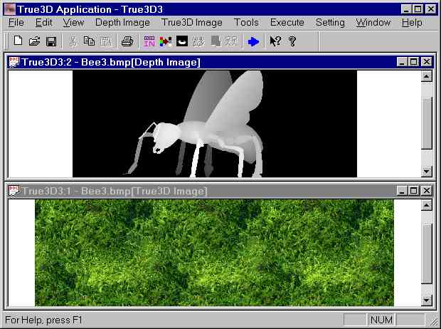 capture1.jpg (39324 bytes)