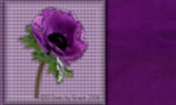 Purple Passion Stationery