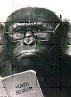 A chimpanzee reading.
