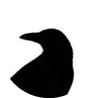 Raven