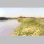 FISHING SPOT UP IN SAN JOANQUIN VALLEY