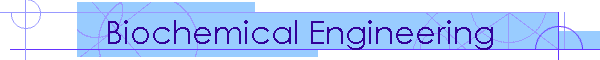 Biochemical Engineering