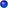 Bullet