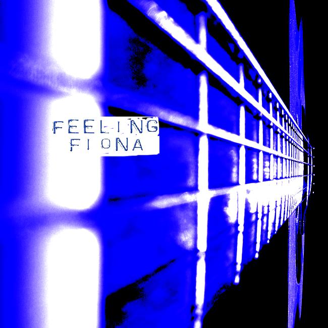 Erik recorded one of Fiona Kernaghan's songs "Human Radio".&nbsp; The CD is available now