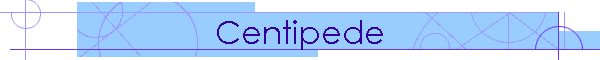 Centipede