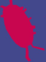 Kellerassel Logo