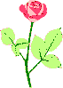 Escr�beme