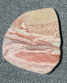 THE 35 SPIECIES YOU GROW IN YOUR GARDEN WILL CHEER YOU UP AND GIVE YOU NOURISHMENT YOU COULDN'T BUY AT ANY RESONABLE PRICE.SOME PLANTS MAKE HEALING WINE LIKE THE BLACK HAW OR 