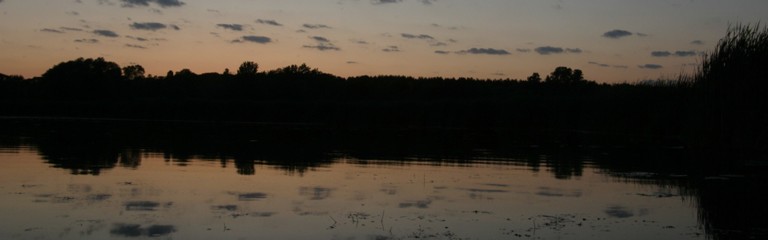 scenicview