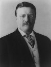 troosevelt.jpg (2556 bytes)