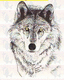 5_yellow_eyes