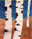 6_aspens